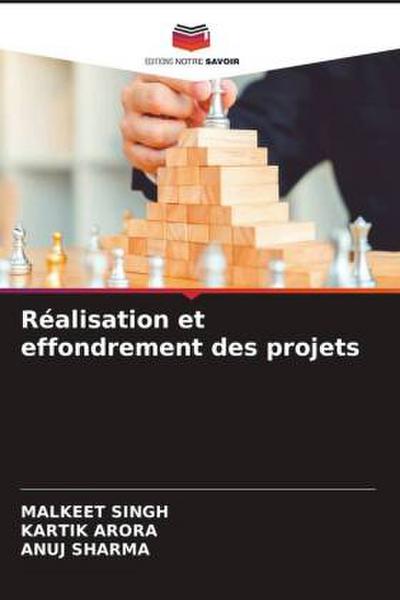 Réalisation et effondrement des projets