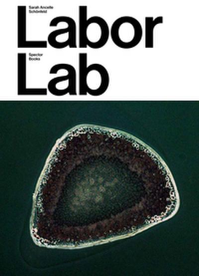 Sarah Ancelle Schönfeld: Labor Lab
