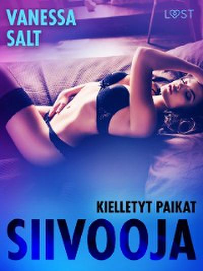 Kielletyt paikat: Siivooja - eroottinen novelli