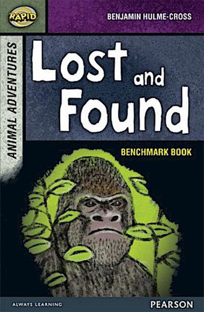 Rapid Stage 7 Assessment book: Lost and Found