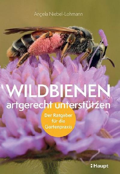 Wildbienen artgerecht unterstützen 
