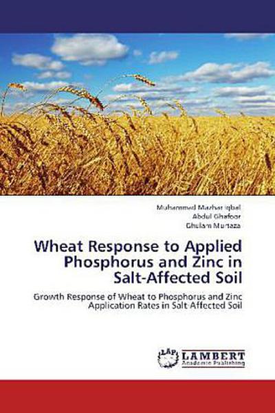 Wheat Response to Applied Phosphorus and Zinc in Salt-Affected Soil