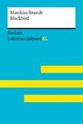 Blackbird von Matthias Brandt