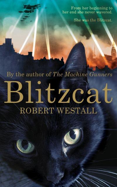 Blitzcat