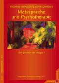 Metasprache und Psychotherapie