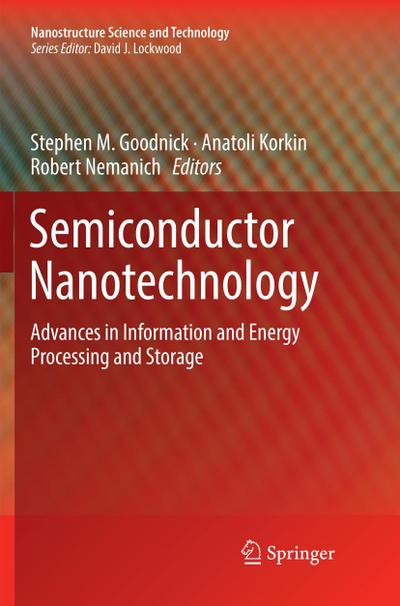 Semiconductor Nanotechnology