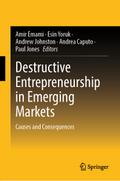 Destructive Entrepreneurship in Emerging Markets