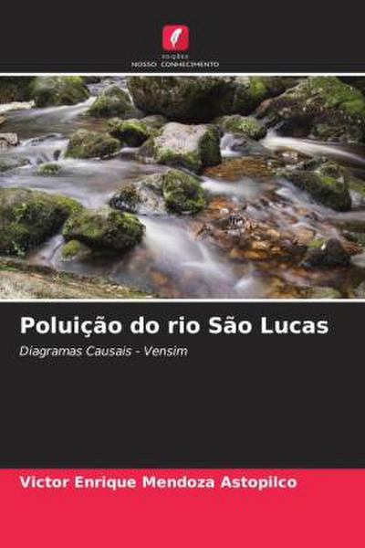 Poluição do rio São Lucas