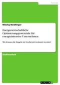 Energiewirtschaftliche Optimierungspotenziale für energieintensive Unternehmen von Nikolaj Neidlinger | Ebook