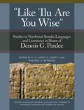’Like ’Ilu Are You Wise’