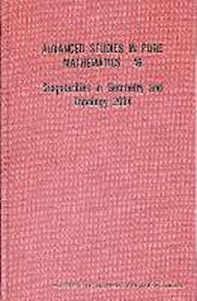 Singularities in Geometry and Topology 2004