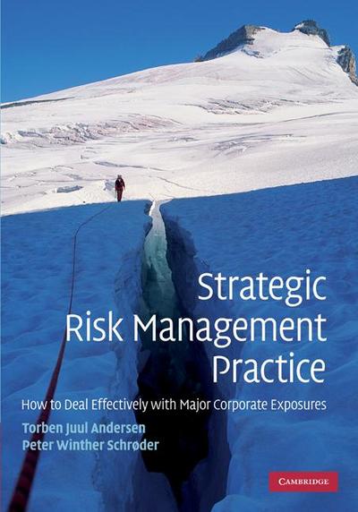 Strategic Risk Management Practice