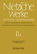 Vorlesungsaufzeichnungen (SS 1870 - SS 1871)