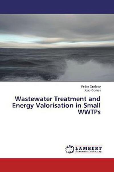 Wastewater Treatment and Energy Valorisation in Small WWTPs