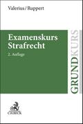 Examenskurs Strafrecht