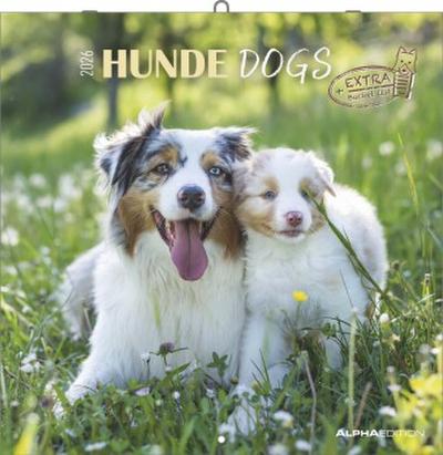 Alpha Edition - Hunde Kalender 2026 - Wandkalender 30x30 cm für Hundeliebhaber - 6-sprachiges Kalendarium mit Feiertagen & Ferienterminen, Monatsübersichten & viel Platz für Notizen, Ringbindung