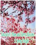 Vancouver’s Plum and Cherry Blossoms