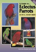 Guide to Eclectus Parrots as Pet and Aviary Birds