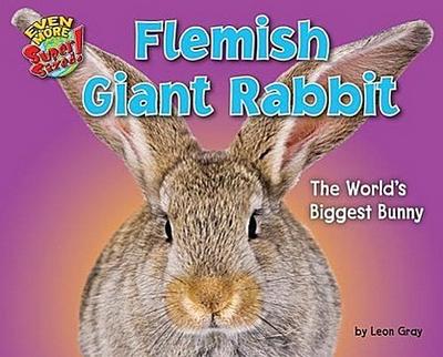 Flemish Giant Rabbit: The World’s Biggest Bunny