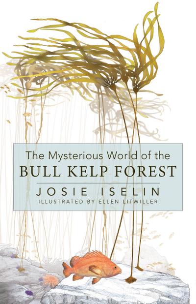 The Mysterious World of the Bull Kelp Forest