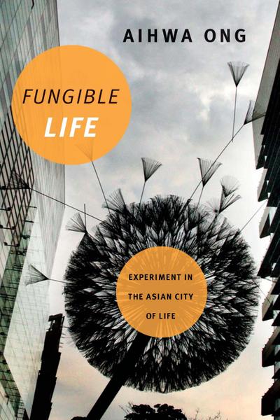 Fungible Life