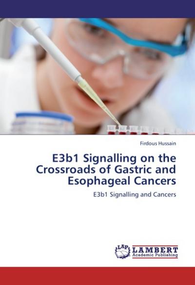 E3b1 Signalling on the Crossroads of Gastric and Esophageal Cancers