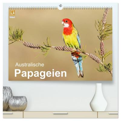Australische Papageien (hochwertiger Premium Wandkalender 2026 DIN A2 quer), Kunstdruck in Hochglanz