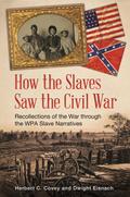 How the Slaves Saw the Civil War