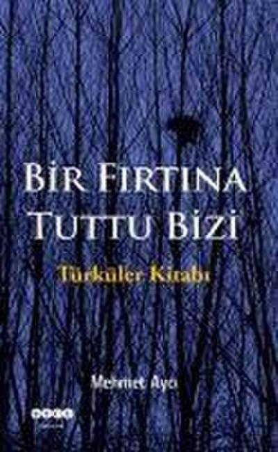 Bir Firtina Tuttu Bizi