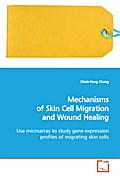 Mechanisms of Skin Cell Migration and Wound Healin
