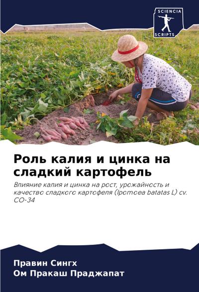 Rol’ kaliq i cinka na sladkij kartofel’