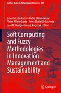 Soft Computing and Fuzzy Methodologies in Innovation Management and Sustainability
