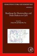 Roadmap for Skutterudites and Point Defects in GaN