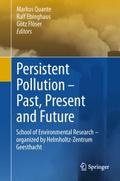 Persistent Pollution - Past, Present and Future