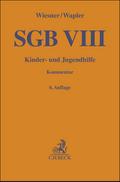 SGB VIII