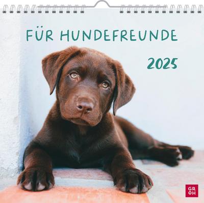 Wandkalender 2025: Für Hundefreunde