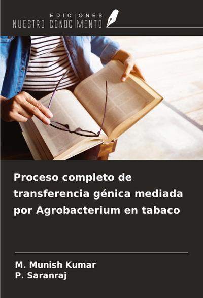 Proceso completo de transferencia génica mediada por Agrobacterium en tabaco