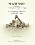 Black Gold and Silver Sands: