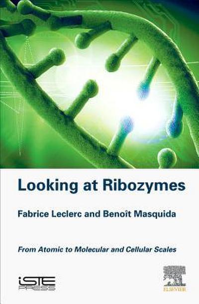 Looking at Ribozymes