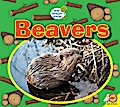Beavers