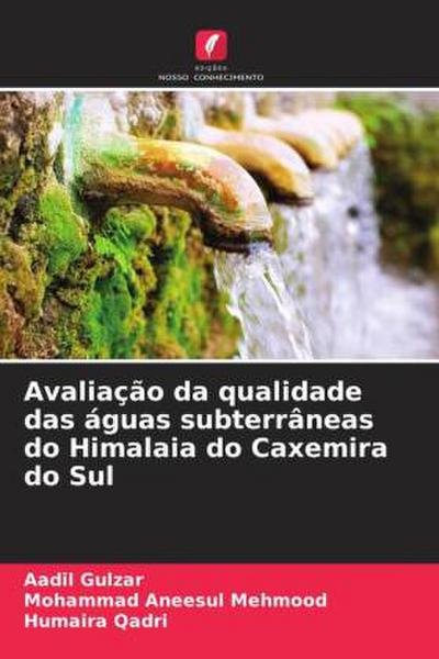 Avaliação da qualidade das águas subterrâneas do Himalaia do Caxemira do Sul