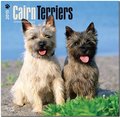 Cairn Terriers 2015 - Cairn Terrier