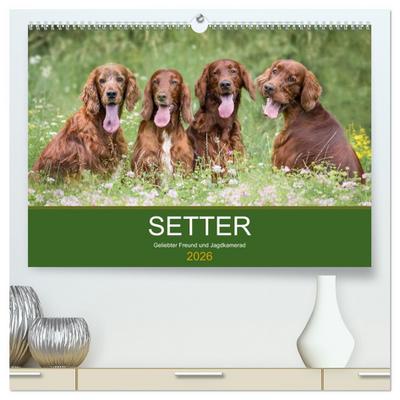 Setter - Geliebter Freund und Jagdkamerad (hochwertiger Premium Wandkalender 2026 DIN A2 quer), Kunstdruck in Hochglanz