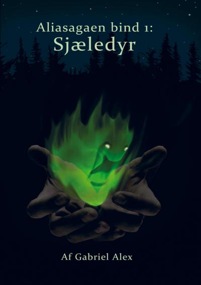 Amazon Elastic Compute Cloud User Guide for Linux Instances