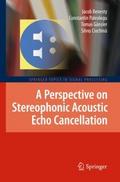 A Perspective on Stereophonic Acoustic Echo Cancel