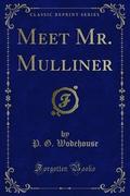 Meet Mr. Mulliner