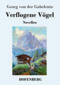 Verflogene Vögel