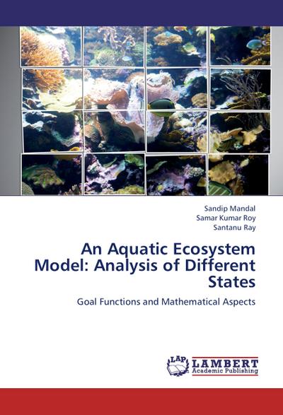 An Aquatic Ecosystem Model: Analysis of Different States