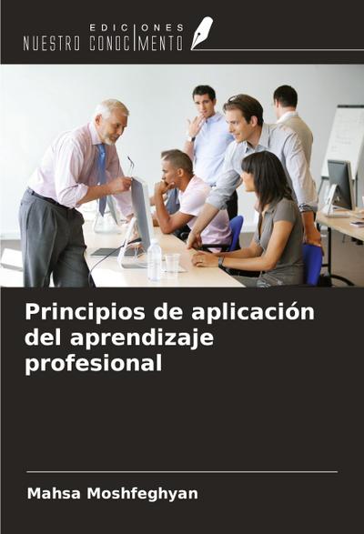 Principios de aplicación del aprendizaje profesional