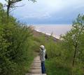To the Lake and Selected Poems